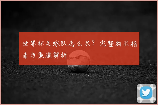世界杯足球队怎么买？完整购买指南与渠道解析