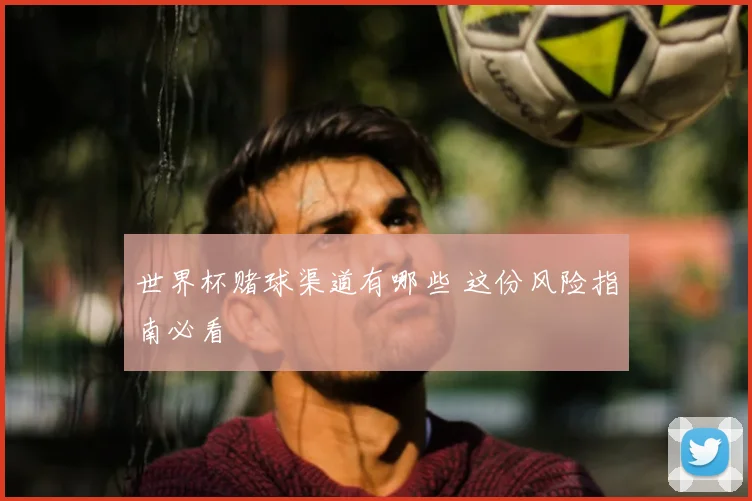 世界杯赌球渠道有哪些 这份风险指南必看