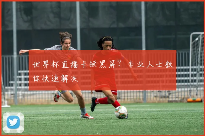 世界杯直播卡顿黑屏？专业人士教你快速解决