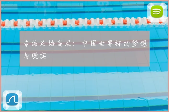专访足协高层:中国世界杯的梦想与现实
