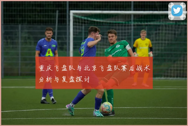 重庆飞盘队与北京飞盘队赛后战术分析与复盘探讨