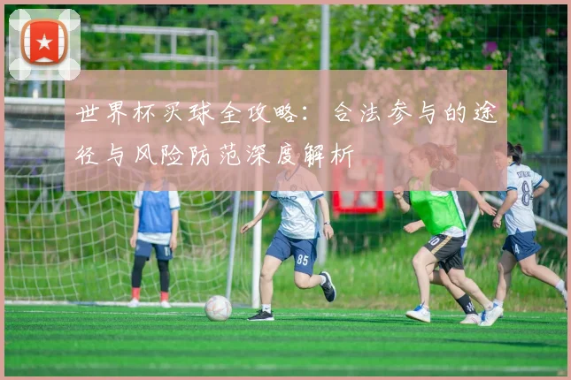 世界杯买球全攻略：合法参与的途径与风险防范深度解析