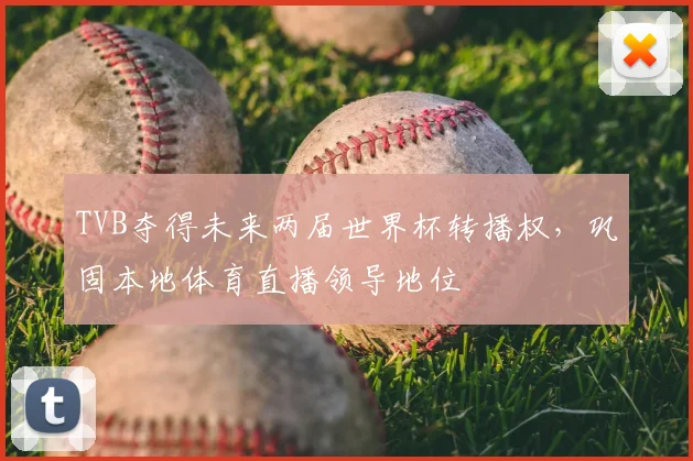 TVB夺得未来两届世界杯转播权，巩固本地体育直播领导地位