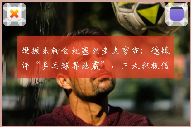 樊振东转会杜塞尔多夫官宣：德媒评“乒乓球界地震”，三大积极信号浮现_萨尔布吕肯_乒坛_德甲
