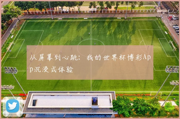 从屏幕到心跳：我的世界杯博彩App沉浸式体验