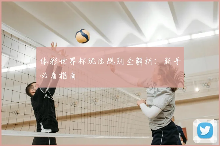 体彩世界杯玩法规则全解析：新手必看指南