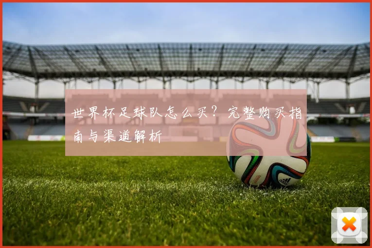 世界杯足球队怎么买？完整购买指南与渠道解析