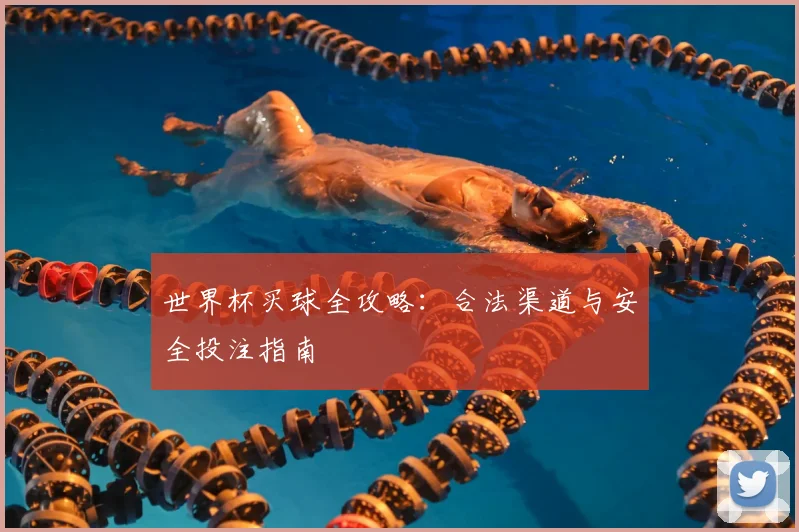 世界杯买球全攻略：合法渠道与安全投注指南