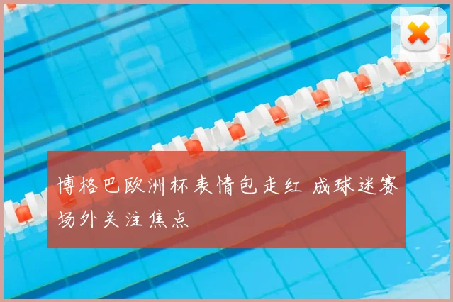 博格巴欧洲杯表情包走红 成球迷赛场外关注焦点