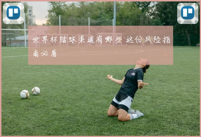 世界杯赌球渠道有哪些 这份风险指南必看