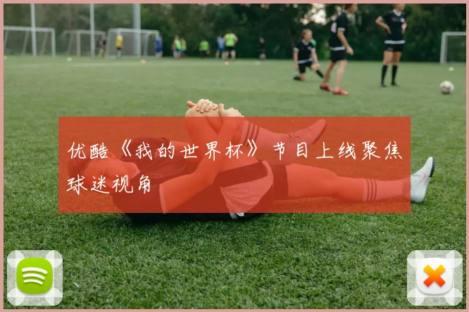 优酷《我的世界杯》节目上线聚焦球迷视角