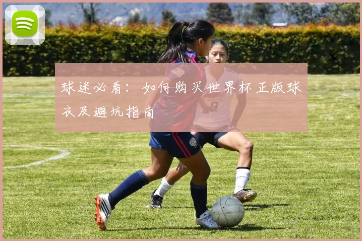 球迷必看：如何购买世界杯正版球衣及避坑指南