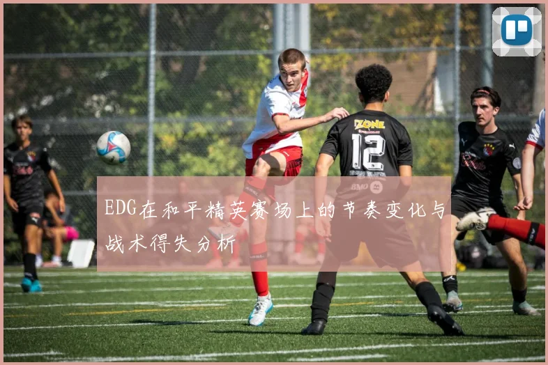 EDG在和平精英赛场上的节奏变化与战术得失分析